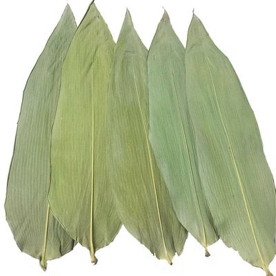 Foglie di bambù fresche 33cm amichevoli di Eco per l'alimento dei sushi