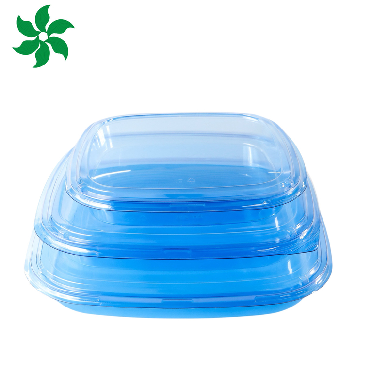 Scatola di confezionamento da asporto Plastica per buon cibo Contenitore alimentare quadrato Plastica blu Scatola di sushi usa e getta