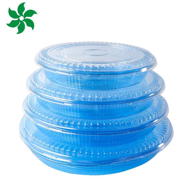 Scatola di confezionamento da asporto Plastica per buon cibo Contenitore alimentare quadrato Plastica blu Scatola di sushi usa e getta