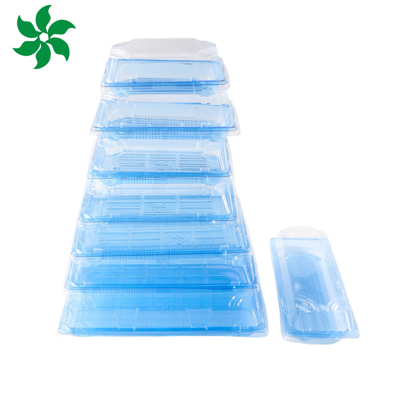Scatola di confezionamento da asporto Plastica per buon cibo Contenitore alimentare quadrato Plastica blu Scatola di sushi usa e getta