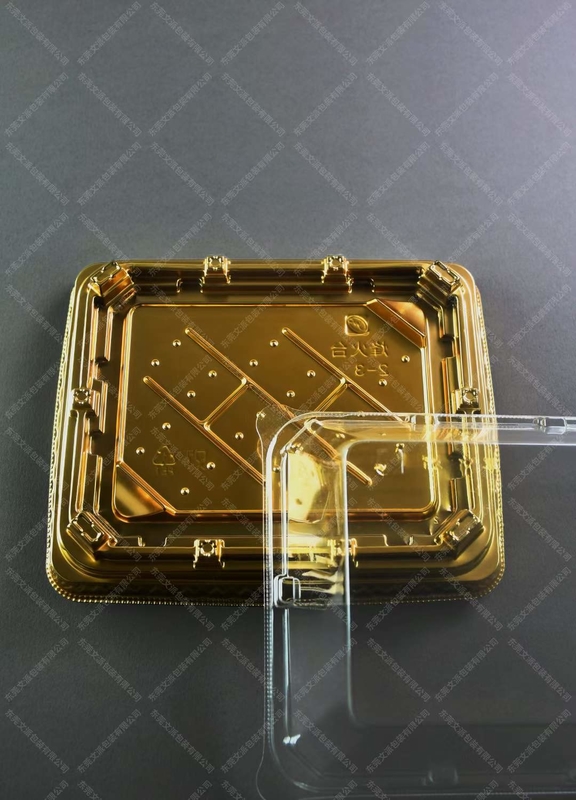 Scatola tradizionale di sushi giapponese in plastica per il servizio di cibo e frutta