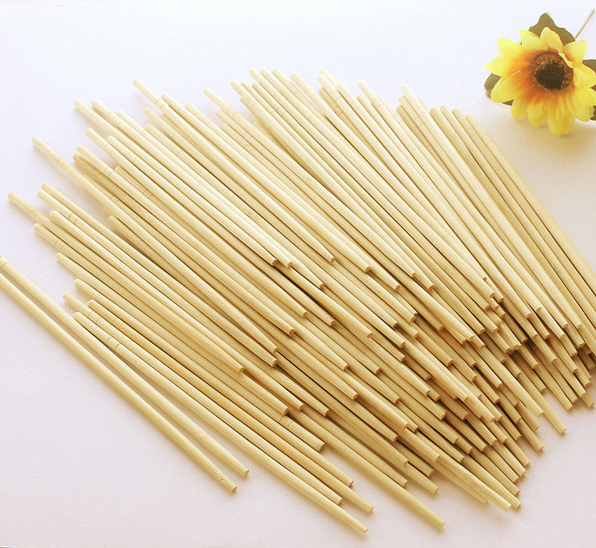 Bastoncini di bambù eliminabili 19.5cm sicuri per scuola