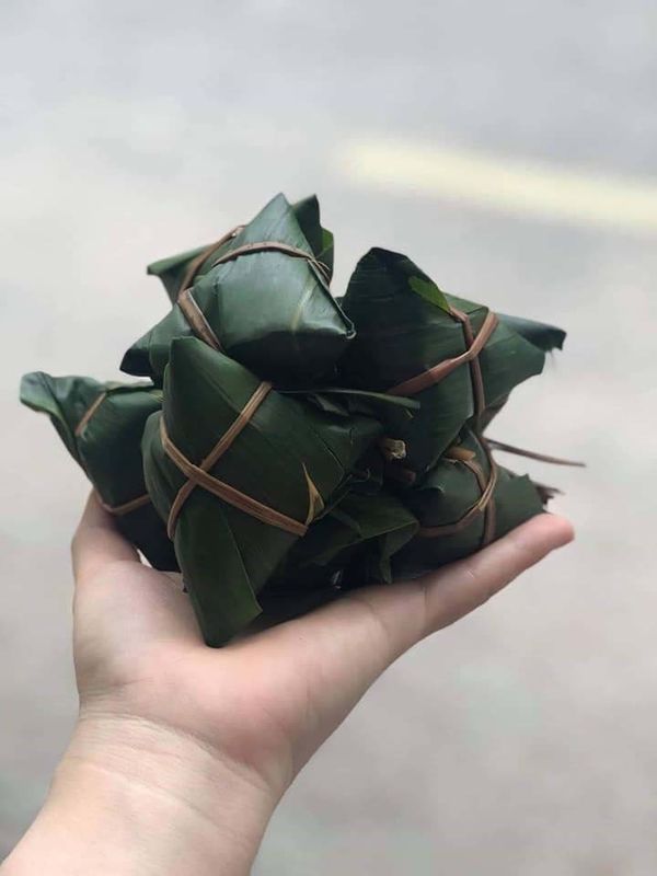 Foglie di bambù fresche attive verdi naturali del polisaccaride 35cm