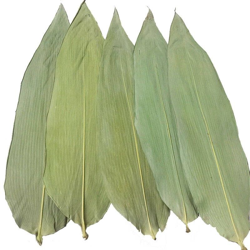 Foglie di bambù fresche 33cm amichevoli di Eco per l'alimento dei sushi