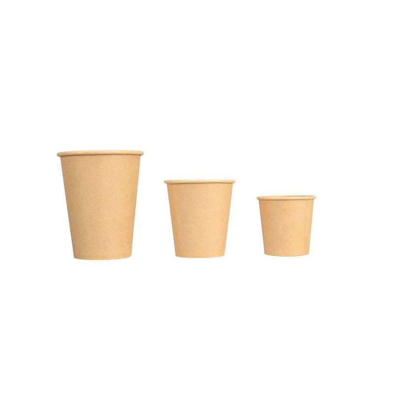 Tazza di carta eliminabile isolata 7oz 8oz 10oz 12oz