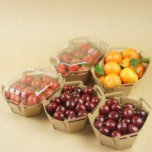 Coperchio riciclabile dell'ANIMALE DOMESTICO di Tray With della frutta di carta kraft di 350gsm