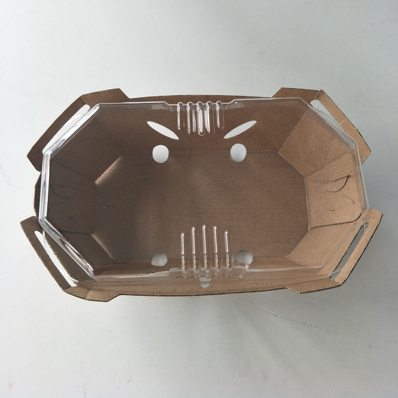 Coperchio riciclabile dell'ANIMALE DOMESTICO di Tray With della frutta di carta kraft di 350gsm
