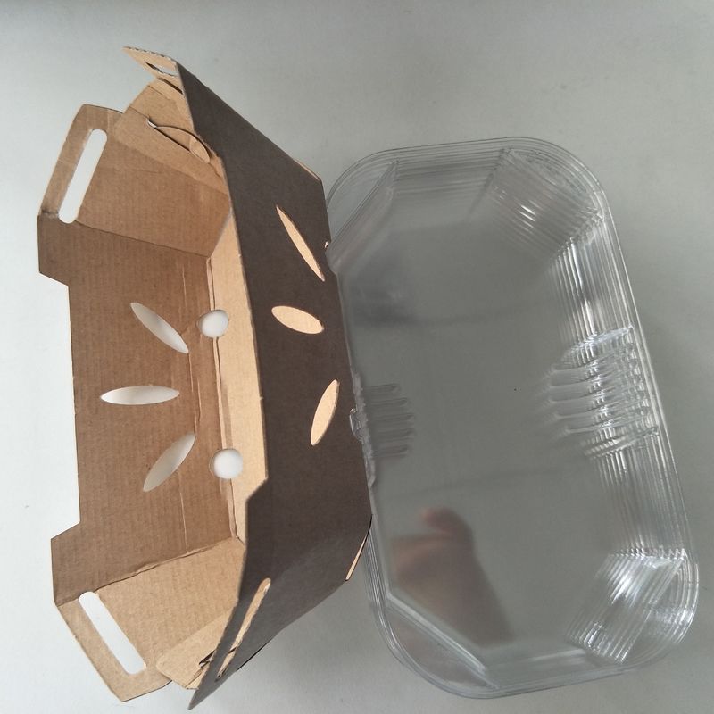 Coperchio riciclabile dell'ANIMALE DOMESTICO di Tray With della frutta di carta kraft di 350gsm