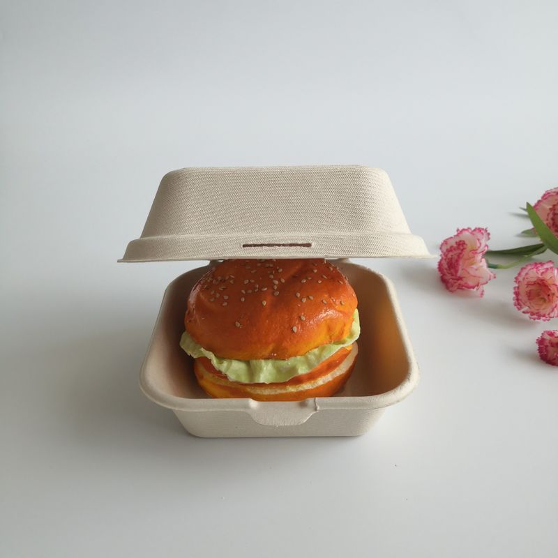 Contenitore eliminabile di hamburger della canna da zucchero biodegradabile a 6 pollici a 5 pollici