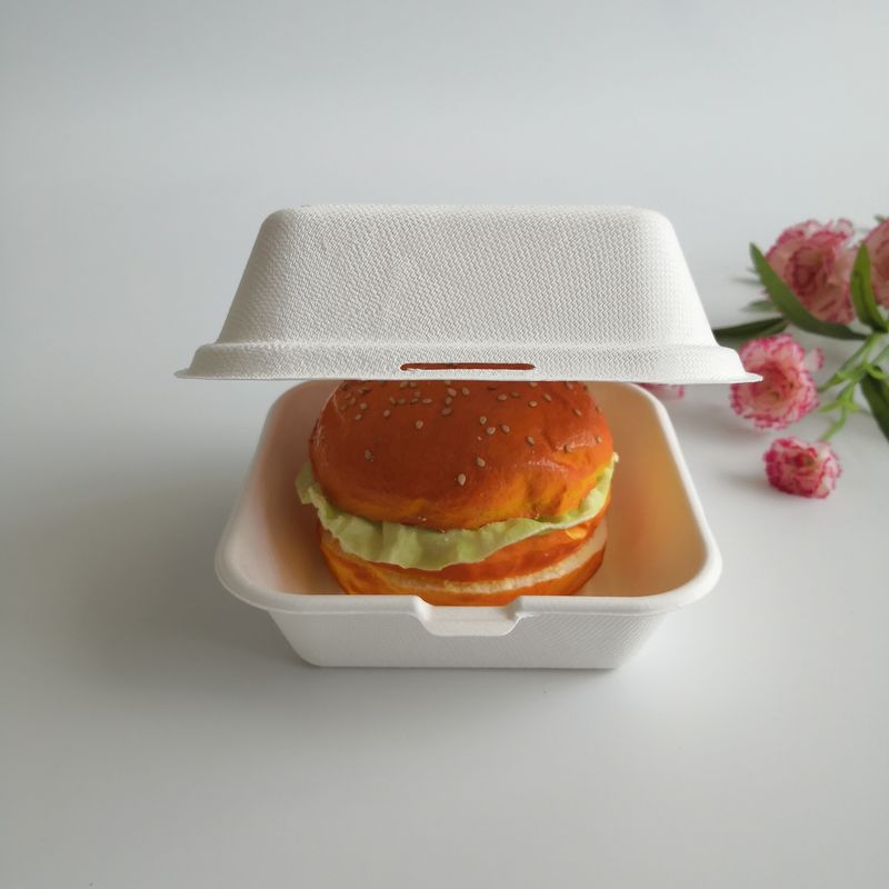 Contenitore eliminabile di hamburger della canna da zucchero biodegradabile a 6 pollici a 5 pollici