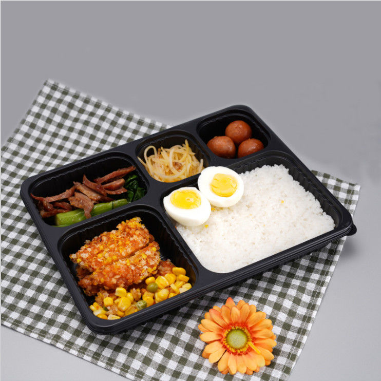 Bento Box Container asportabile di plastica ispessito eliminabile